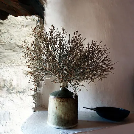 Dorina Agios Mamas